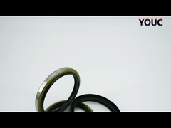 Seal de aceite de polvo negro DKBI DKB Seal de polvo de cilindro hidráulico NBR PU Seal de limpiaparabrisas